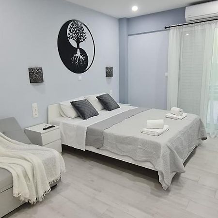 Cozy Apartment With Garden Near Town Center, Fully Renovated. Athen Eksteriør billede