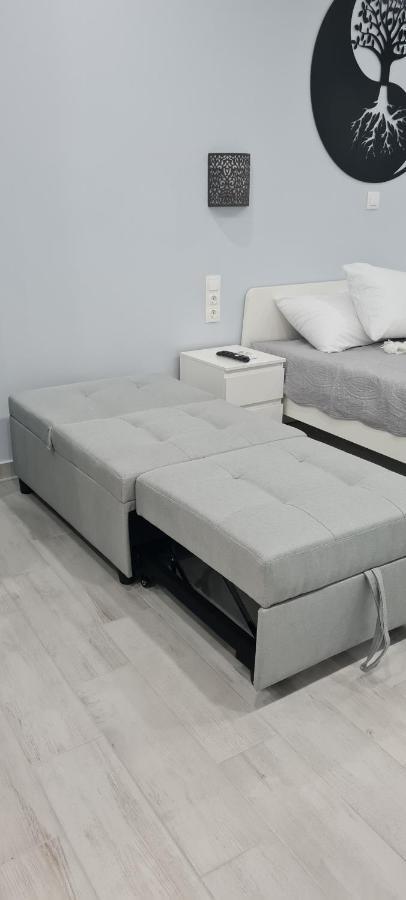 Cozy Apartment With Garden Near Town Center, Fully Renovated. Athen Eksteriør billede
